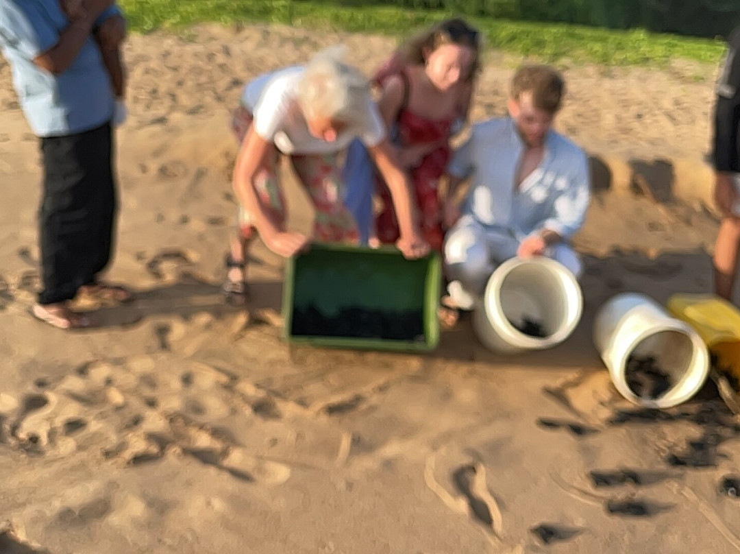 Sea Turtle Farm Galle Mahamodara景点图片
