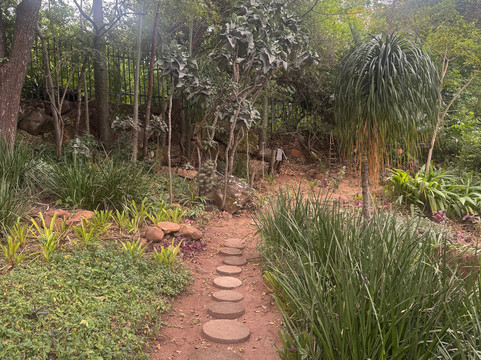 布鲁杰旅舍主图