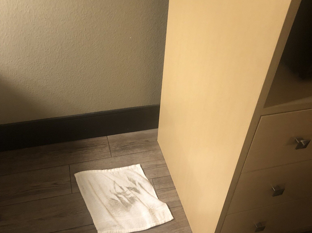 StoneHill Norman, Trademark Collection by Wyndham主图