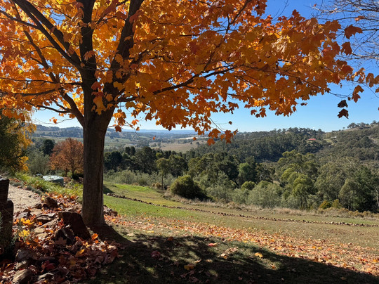 Country Food Trails-奥兰治必去景点