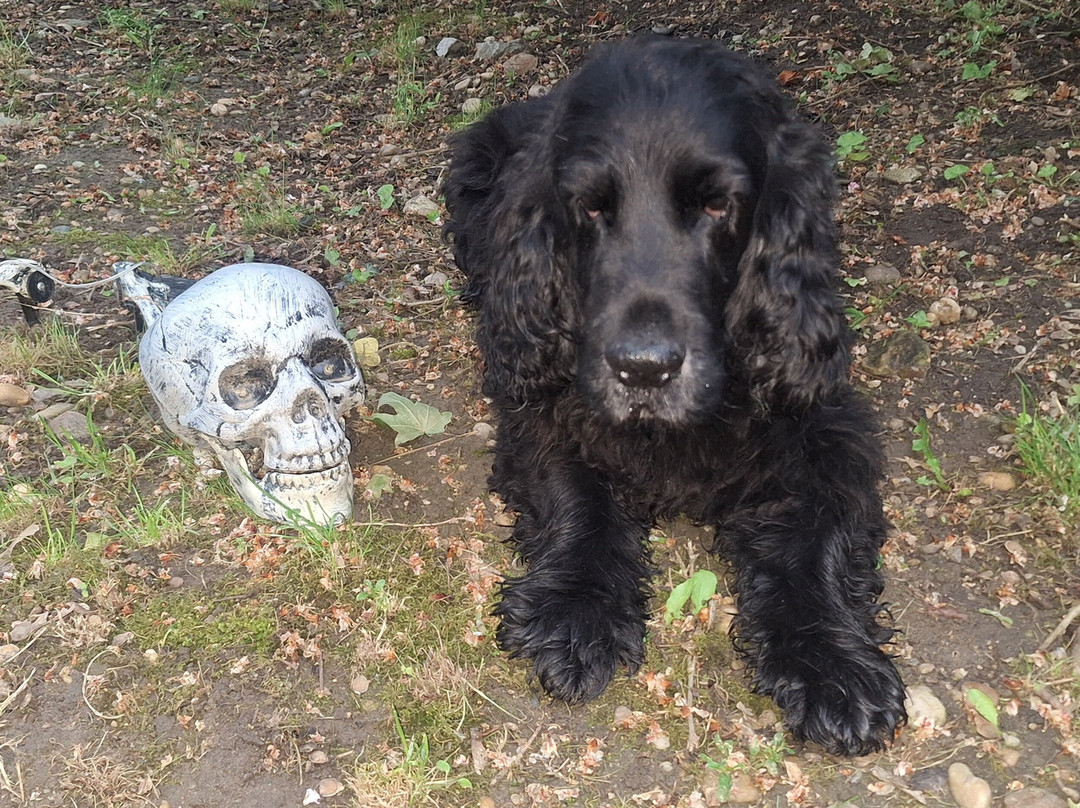 Marc Aurel Landgasthaus主图