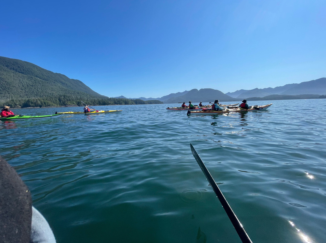 West Coast Expeditions-温哥华岛必去景点