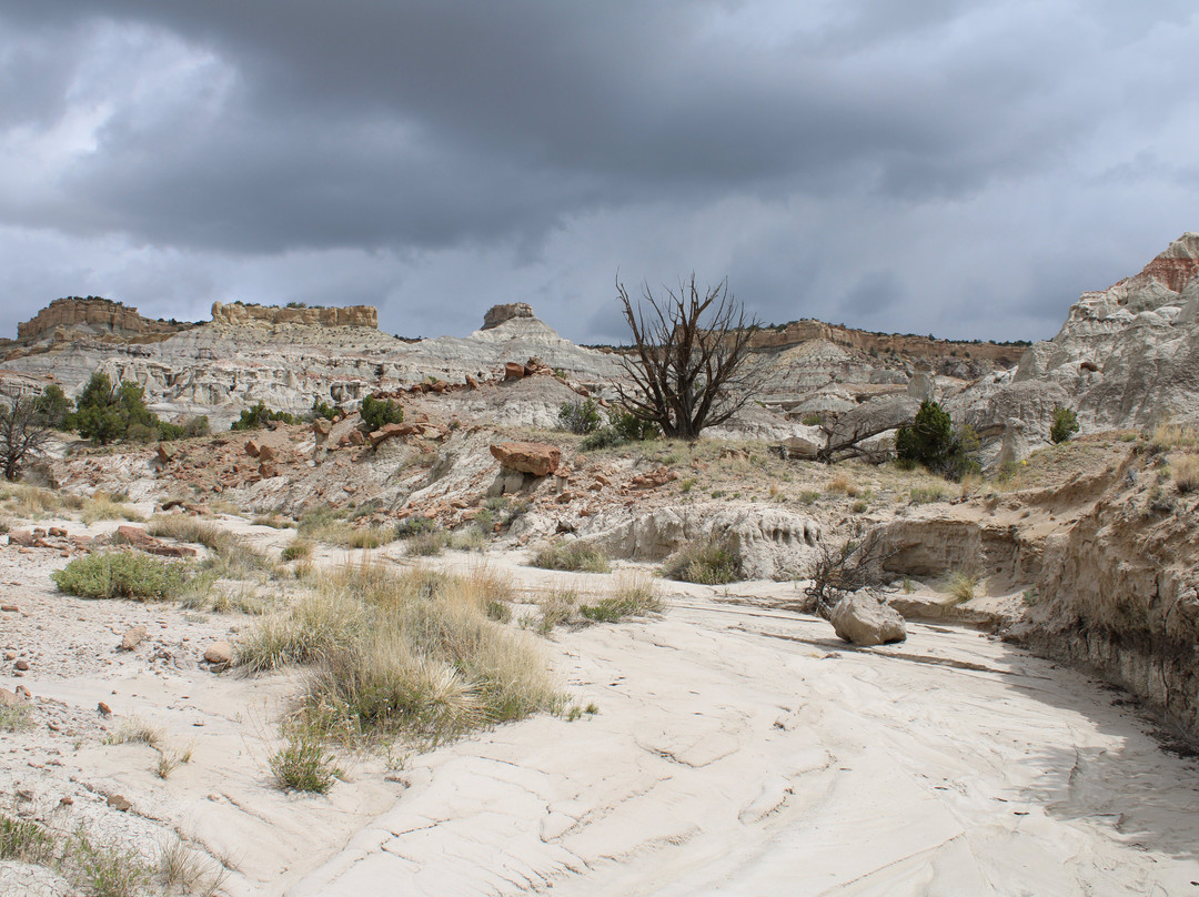 Navajo Tours USA景点图片