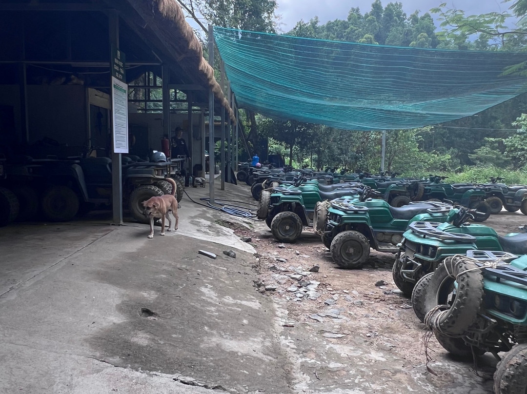 Kong Forest-Suoi Cat必去景点