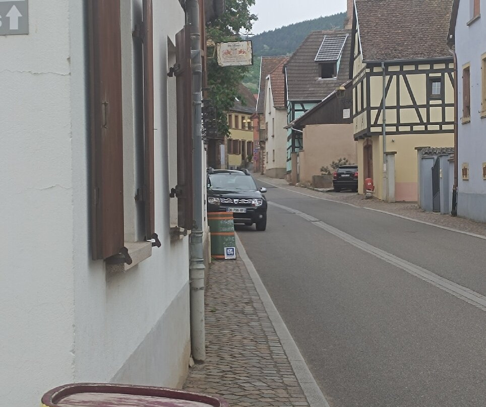 Cave Vins d'Alsace Jean-Louis Schoepfer-维特塞姆必去景点