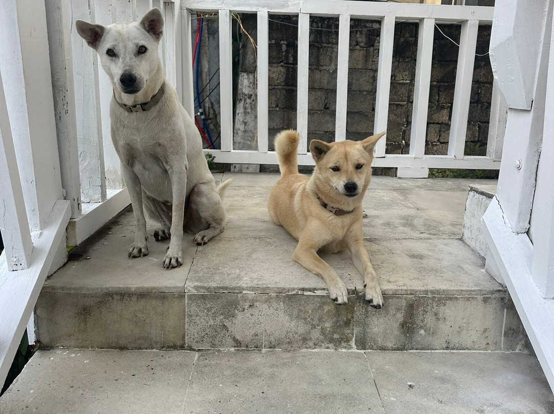 Isaiya Boutique Hotel