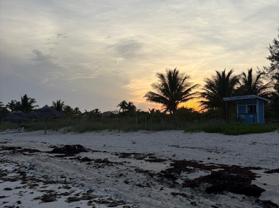 弗拉明戈湾和滨海酒店主图