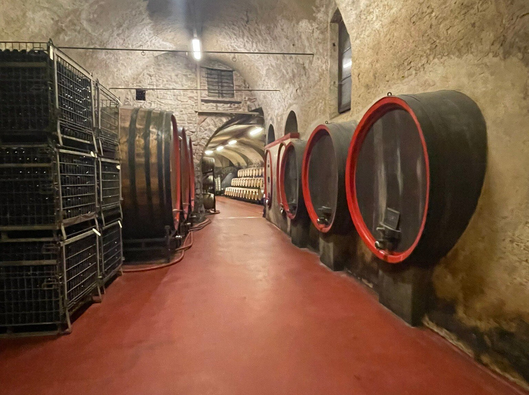 Tenuta Castello di Grumello景点图片