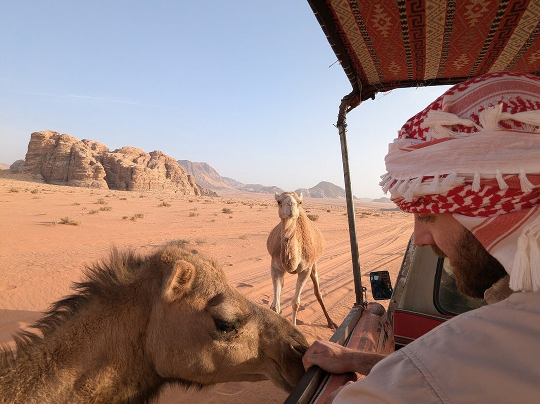 Bedouin Nights Camp景点图片