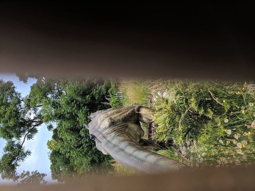 Dino Village-Pine Mountain必去景点