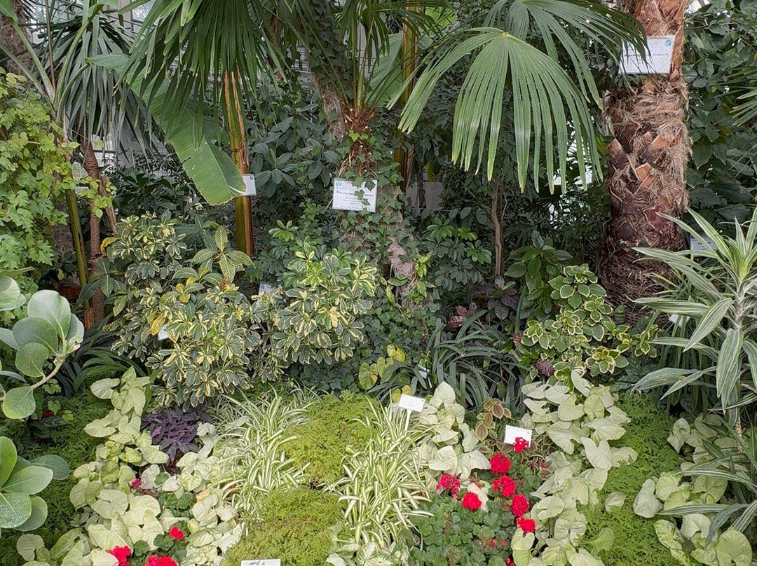 Botanic Garden Anastasie Fătu (Grădina Botanică Anastasie Fătu)景点图片