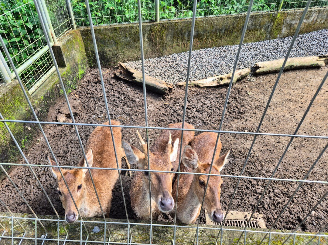 乌布帕德玛酒店主图