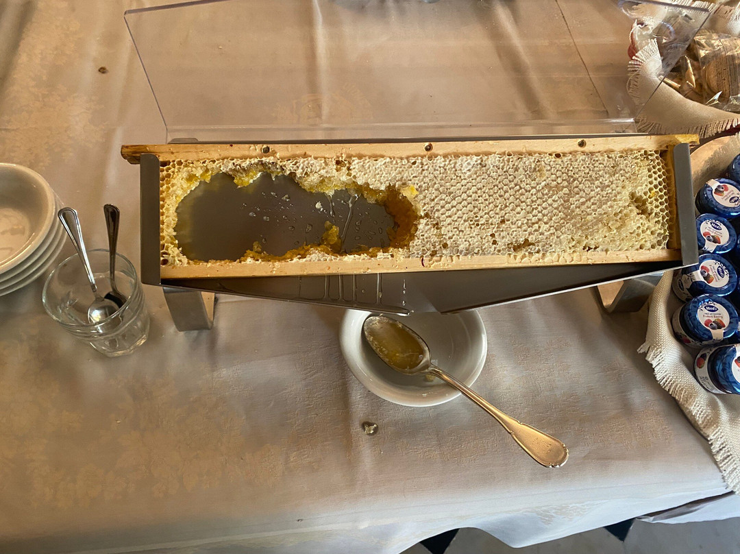 Hotel Splendid Mare主图