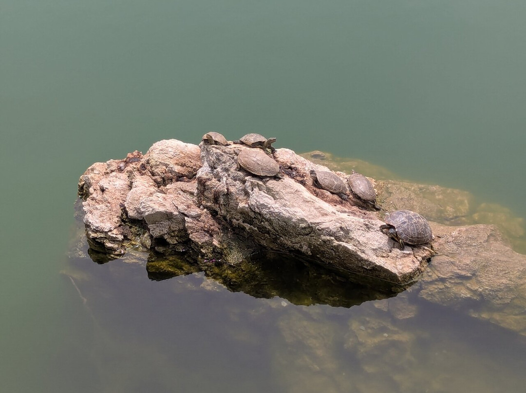 Lake of Zaros Votomos-Zaros必去景点