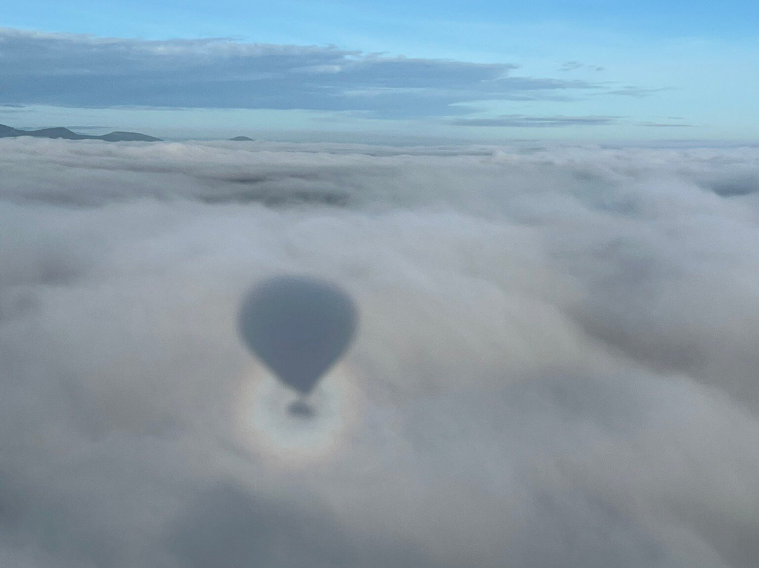 Expeditions Maasai Safaris-内罗毕必去景点