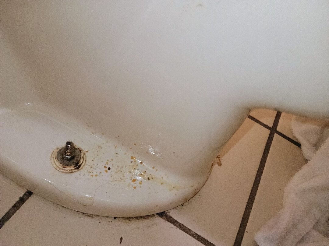 Super 8 by Wyndham Miamisburg Dayton S Area OH主图