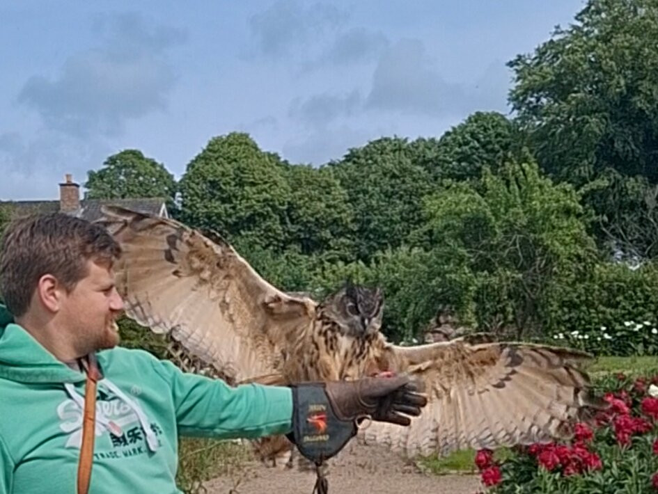 Jersey Falconry-St. John必去景点