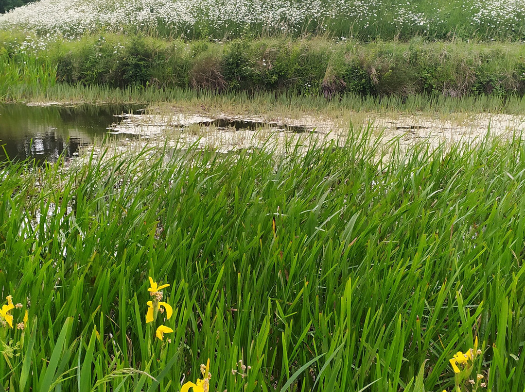 Lyveden-Oundle必去景点