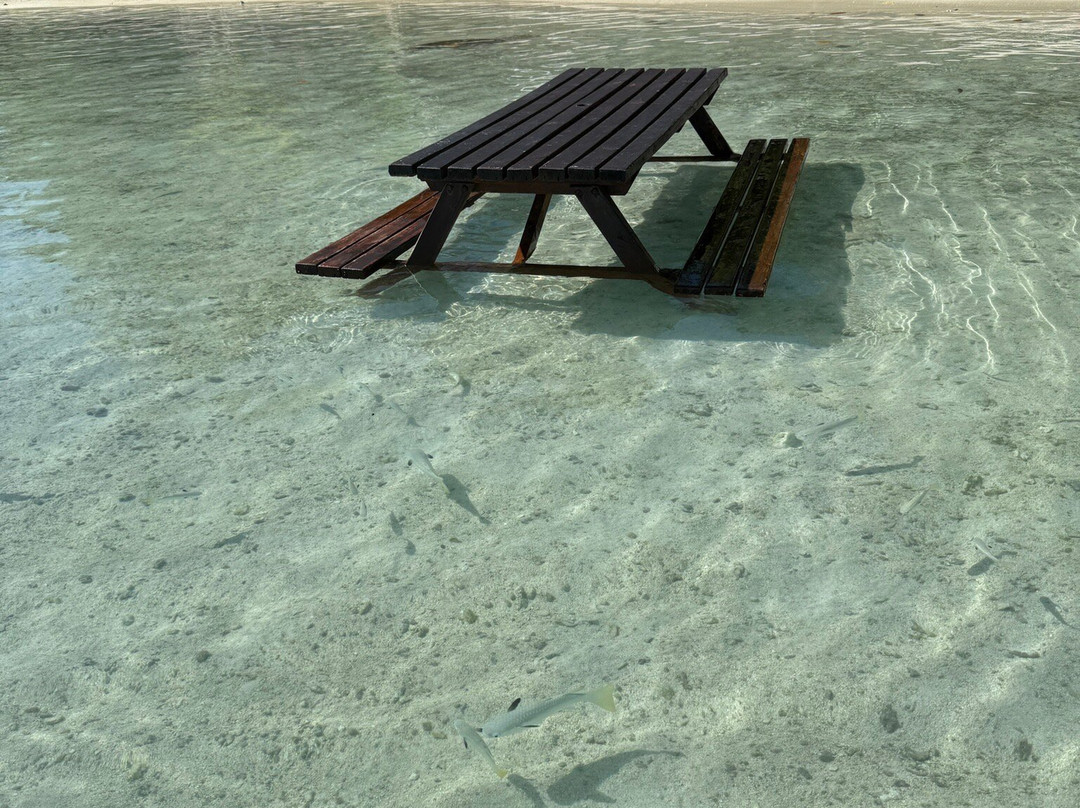 Moorea Explorer-马哈雷帕必去景点