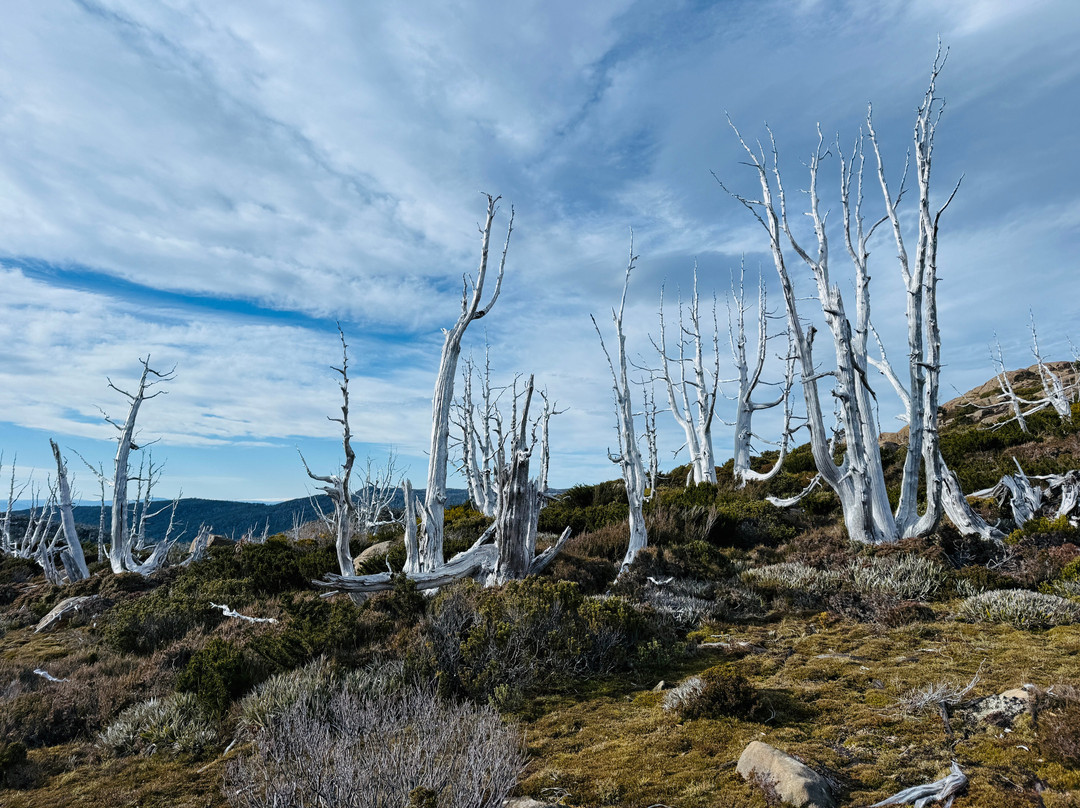 Tarn Shelf景点图片