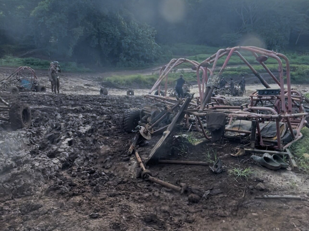 Raro Buggy Tours景点图片