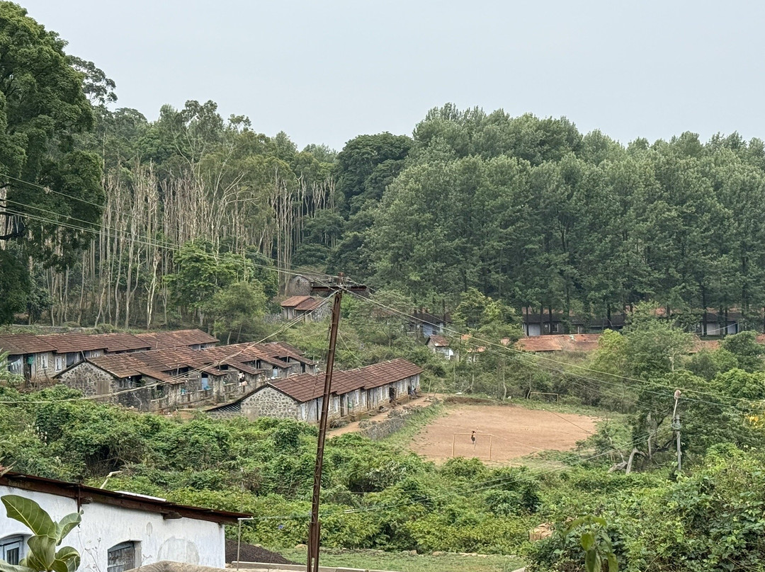 Cauvery Peak-亚尔考德必去景点