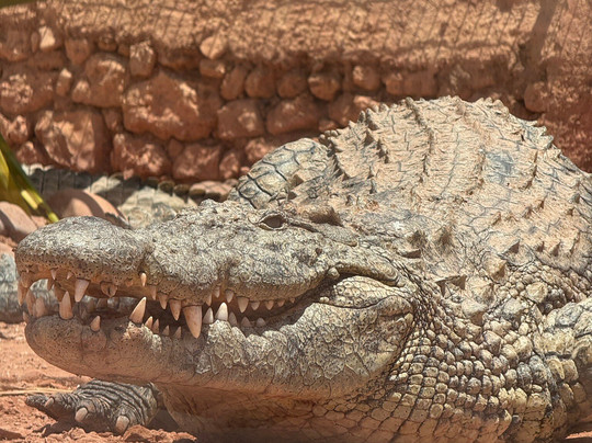 Agadir My Way Tours-阿加迪尔必去景点