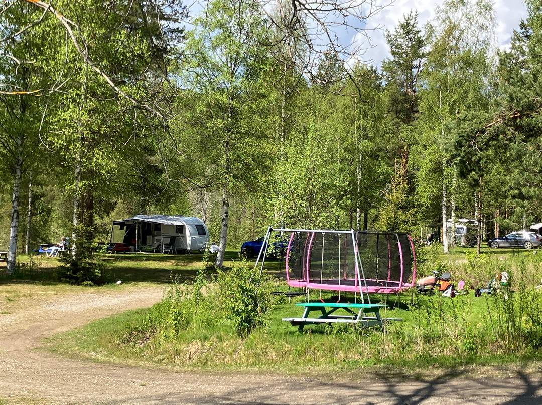 Björsarvcamping