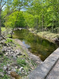 芽登温泉酒店主图
