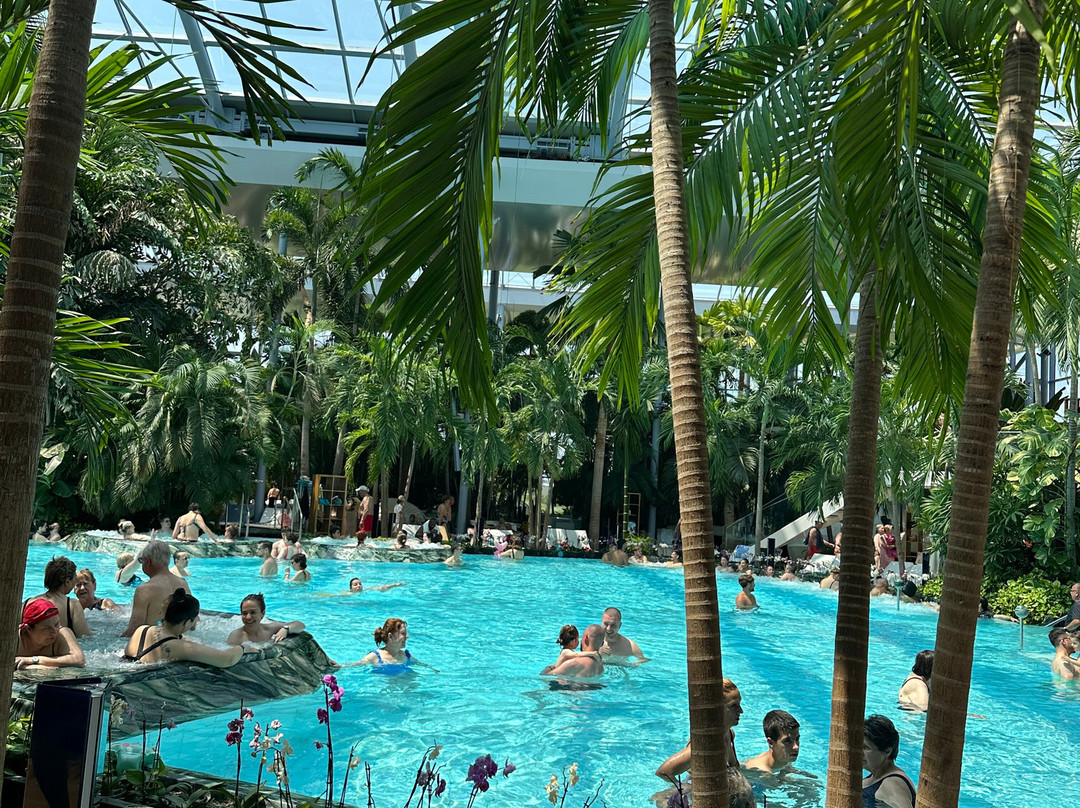 Therme Bucuresti景点图片