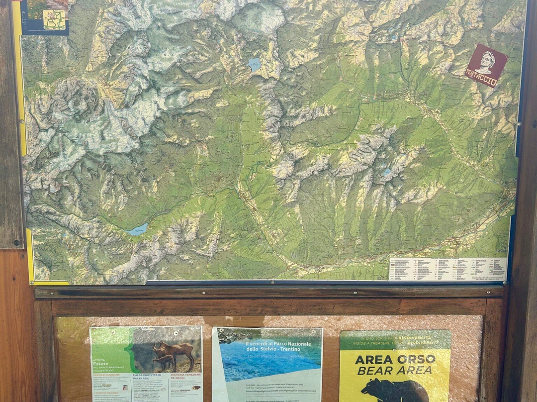 Lago di Pian Palù景点图片
