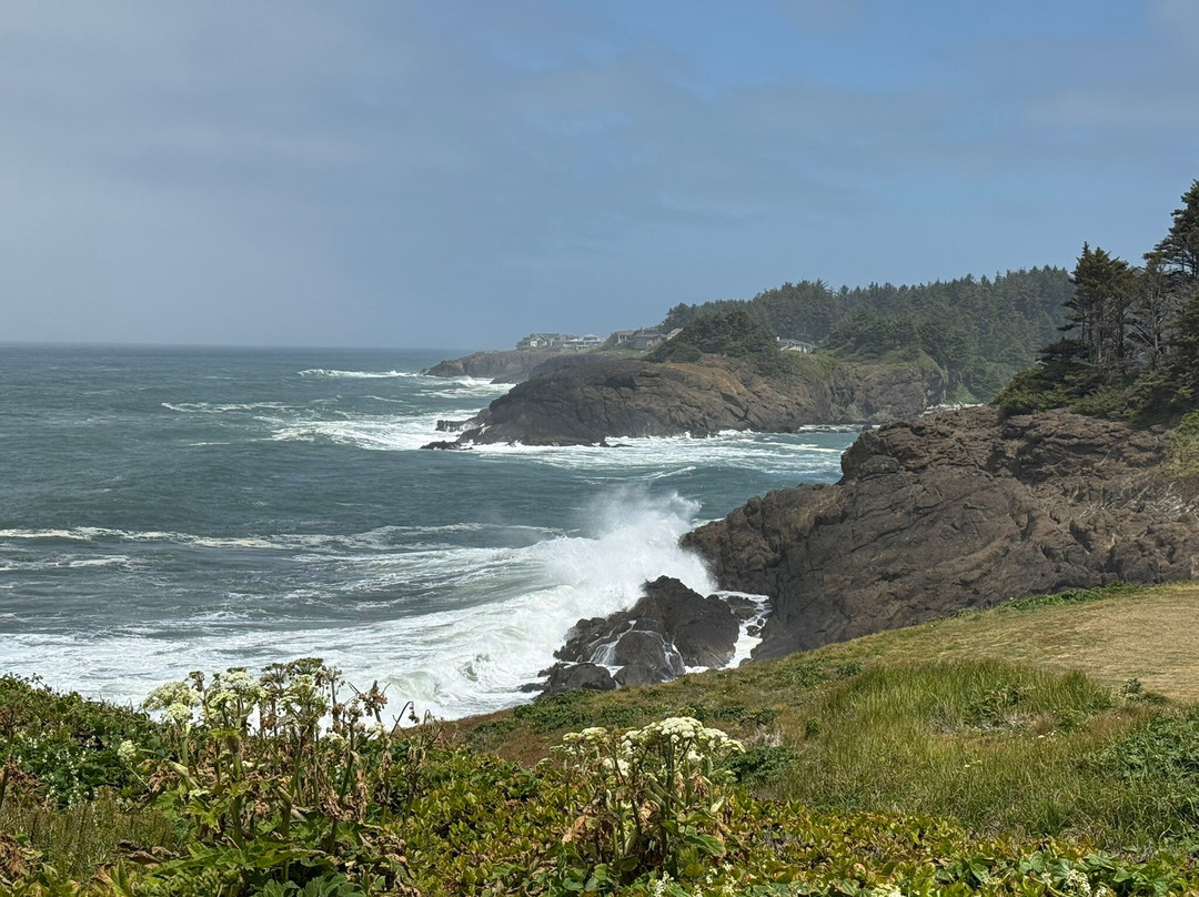 Rocky Creek State Scenic Viewpoint-Depoe Bay必去景点