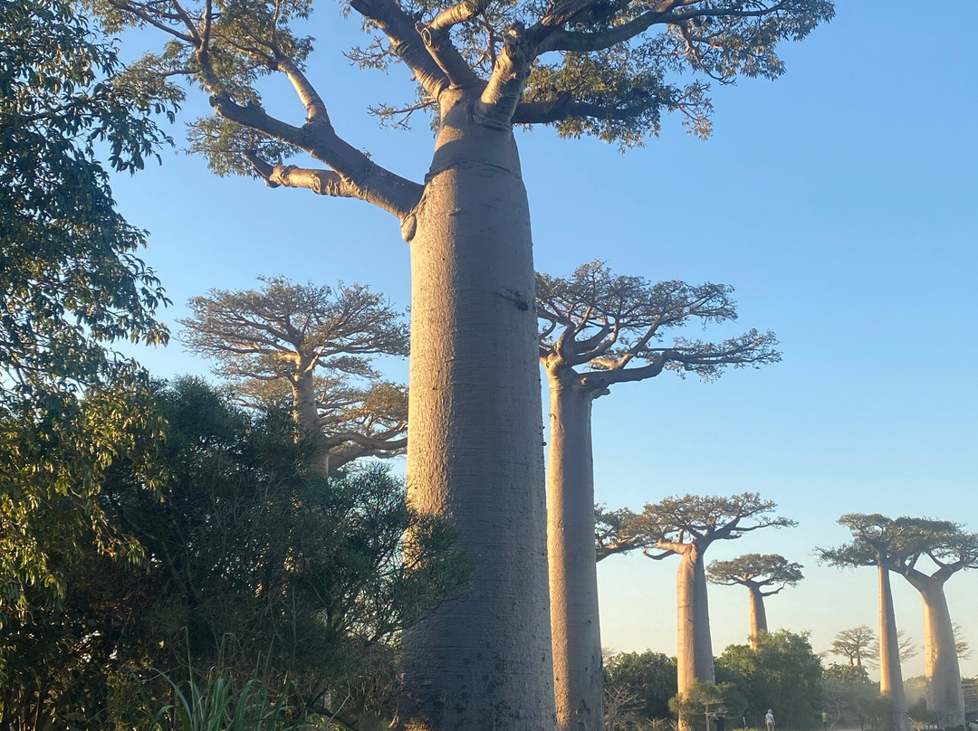 Ramartour Madagascar s.a.r.l.景点图片