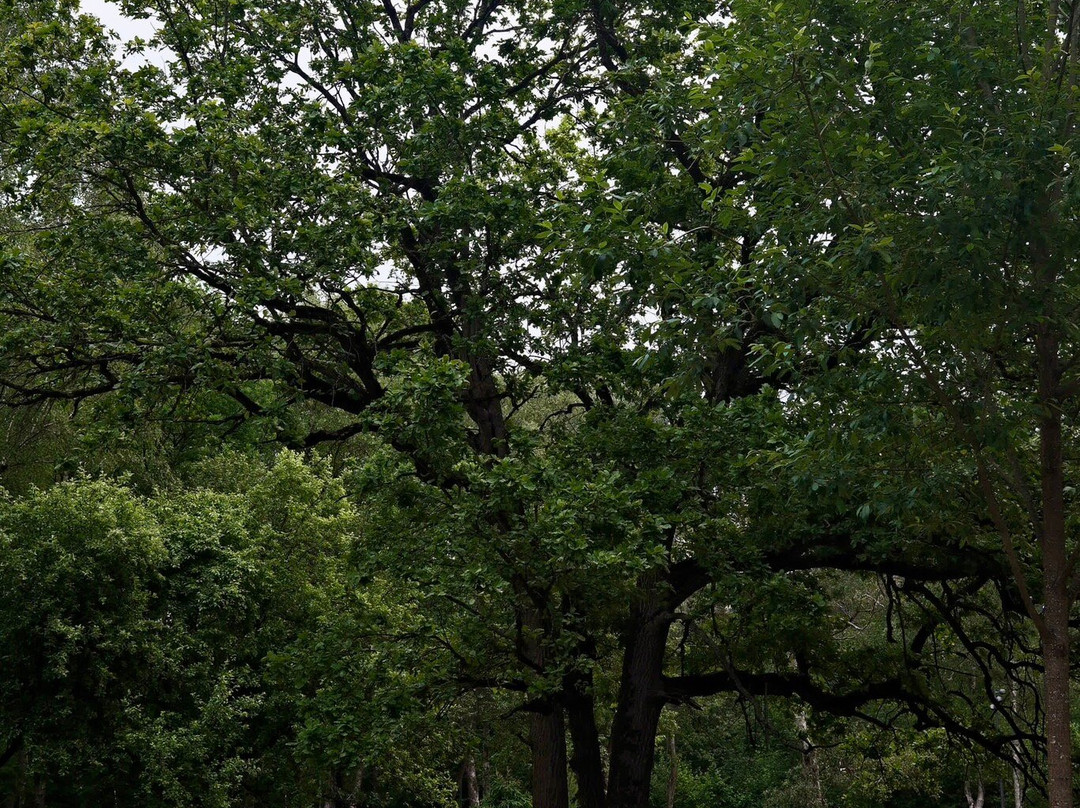 Park Malevicha-Razdory必去景点