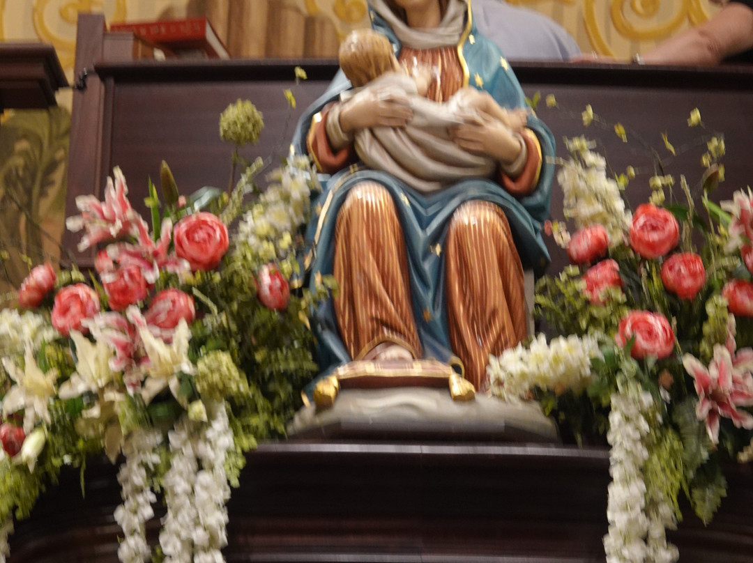 Cathedral Basilica of St. Augustine-圣奥古斯丁必去景点