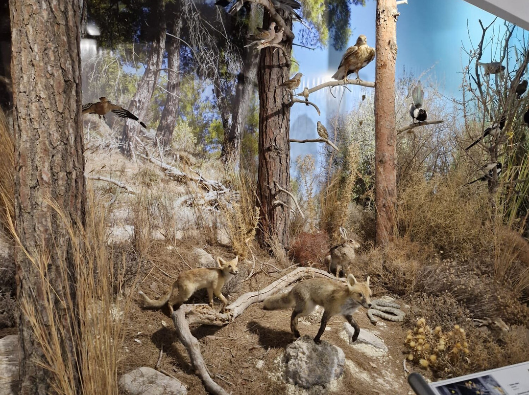 Episkopi Pafos Environmental Information Centre-Episkopi必去景点