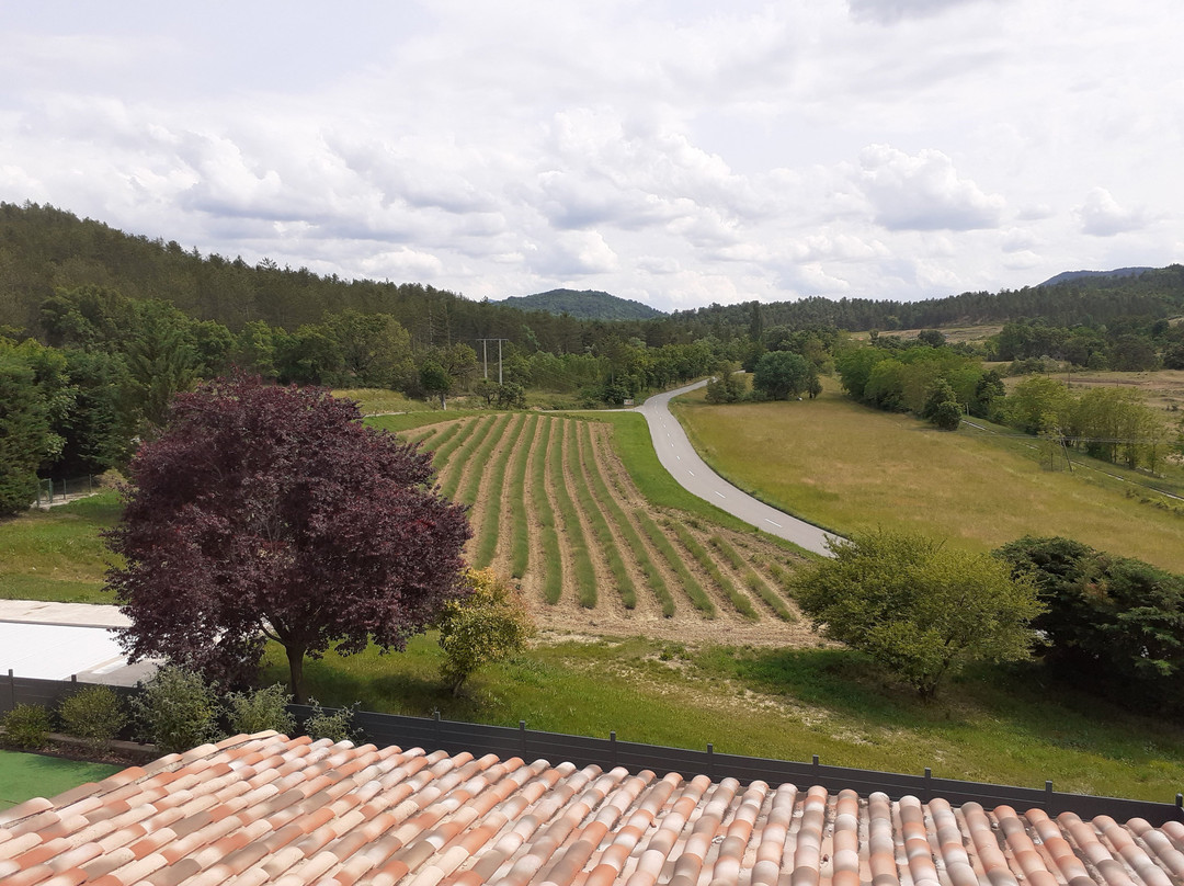Domaine de Prefaissal主图