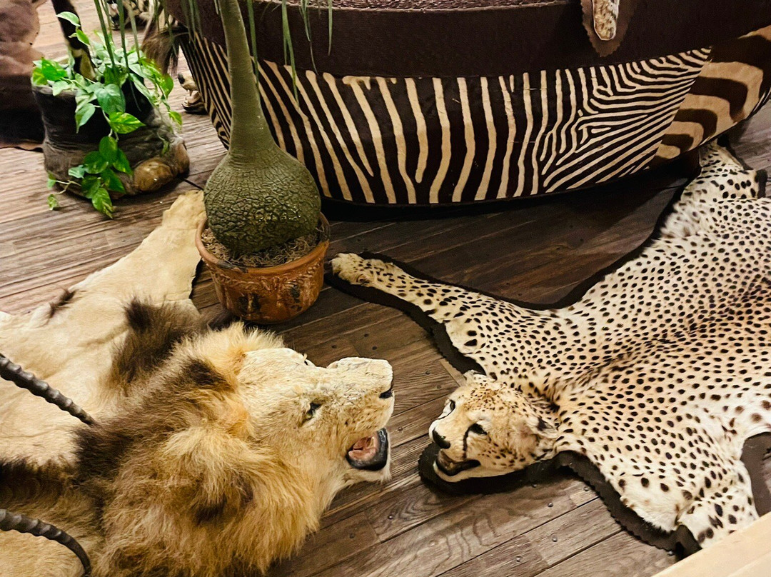 Wilbur D. May Center-里诺必去景点