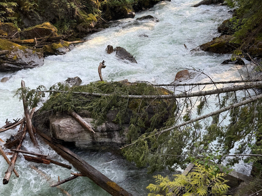 Crazy Creek Suspension Bridge-Malakwa必去景点