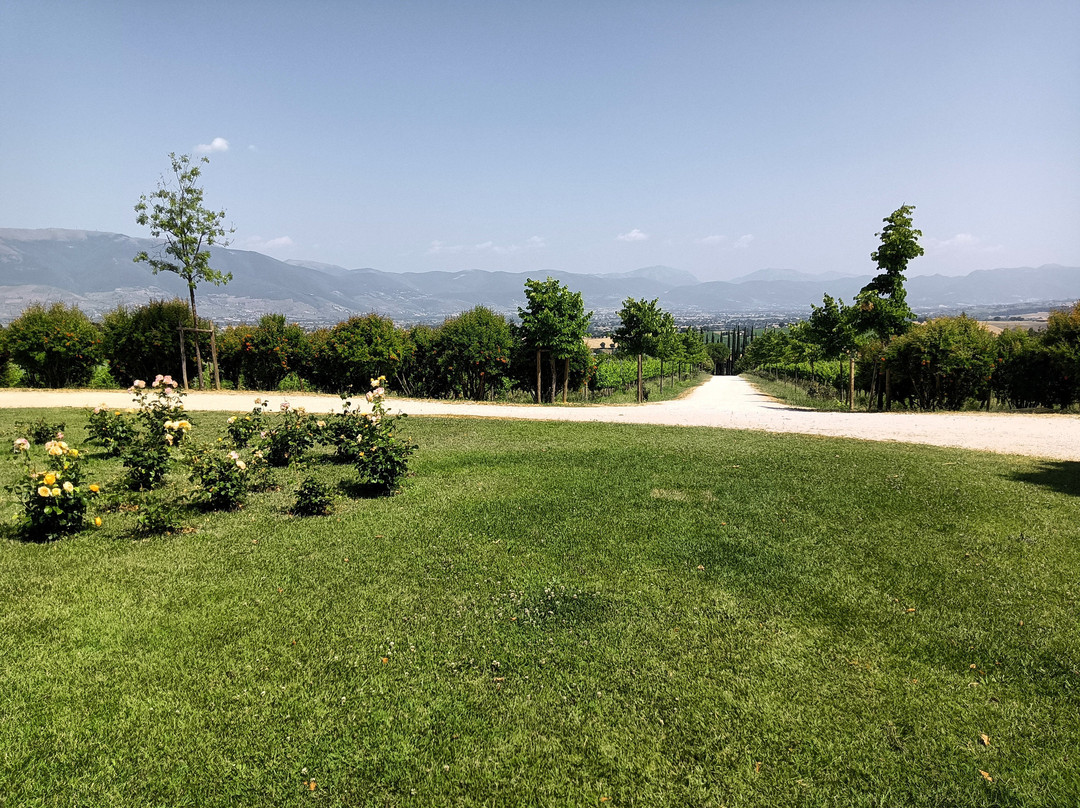 Tenuta Lungarotti-Montefalco必去景点