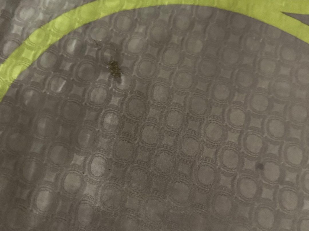 Super 8 by Wyndham Roseville/Detroit Area主图