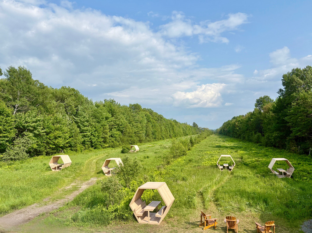 L'alvéole, Bistro Champêtre