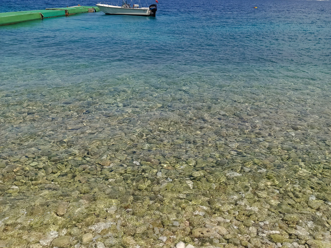 Sea Tours Elis-Radhime必去景点
