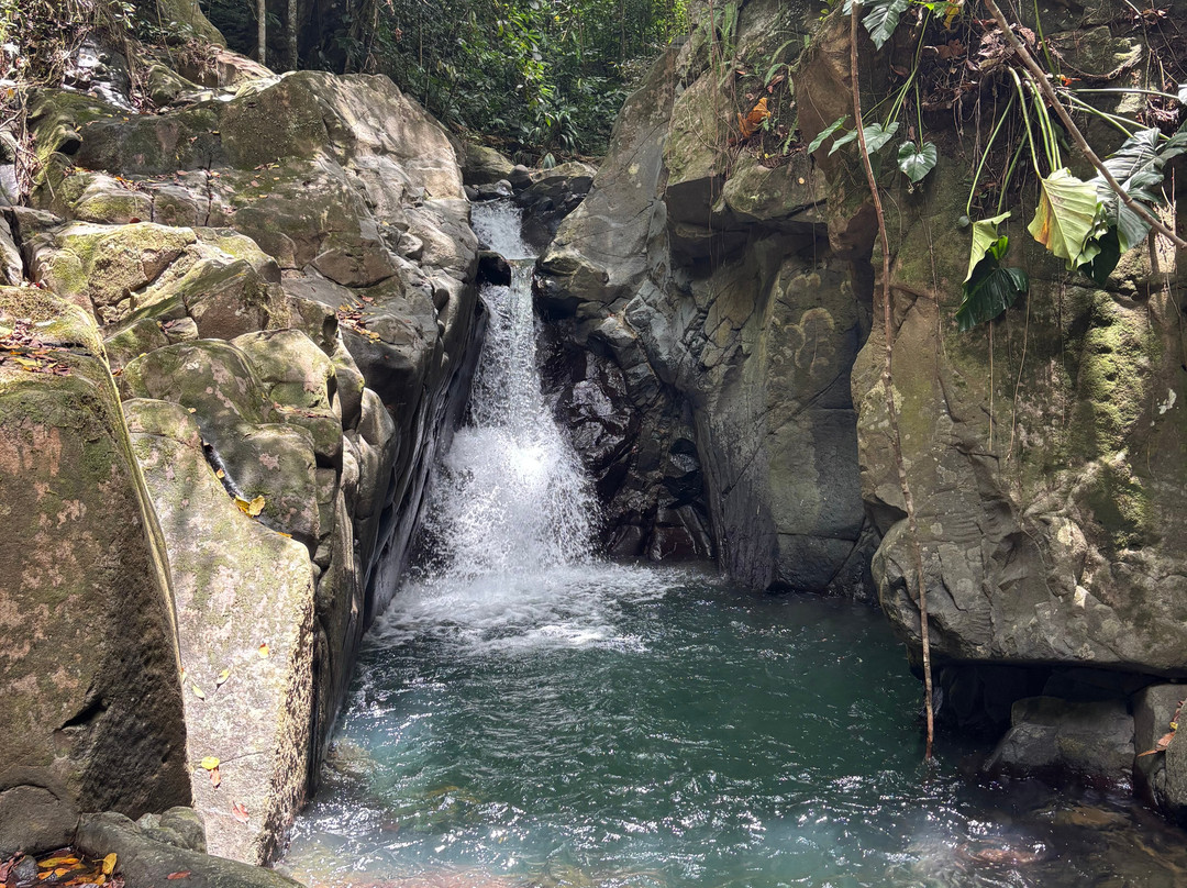 Pelican Safari Tour-Deshaies必去景点