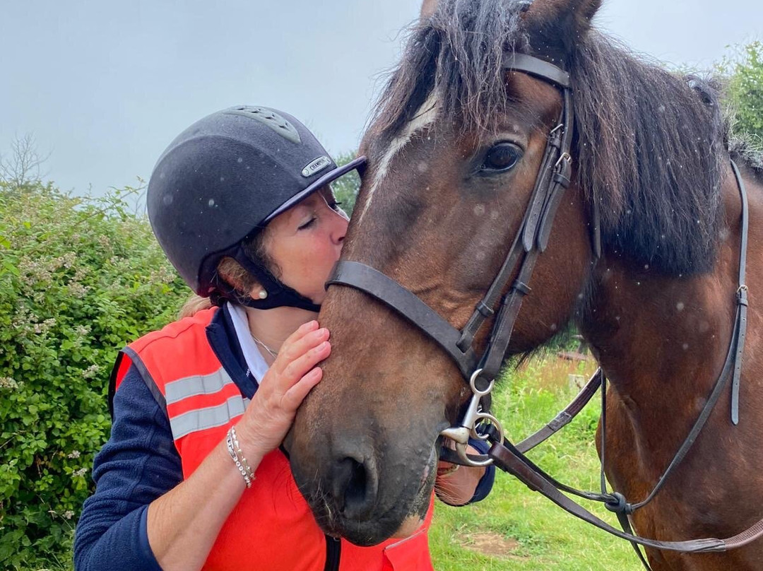 Sally's Riding School-St Helens必去景点