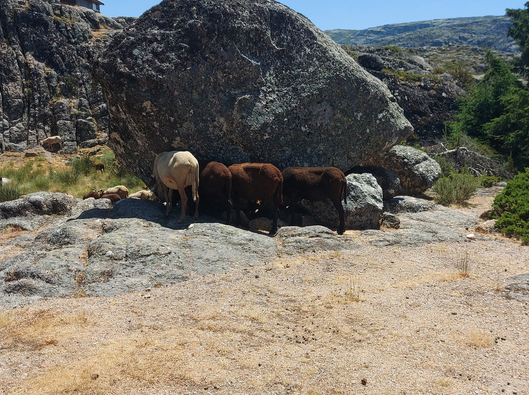 Covão dos Conchos-Serra da Estrela必去景点