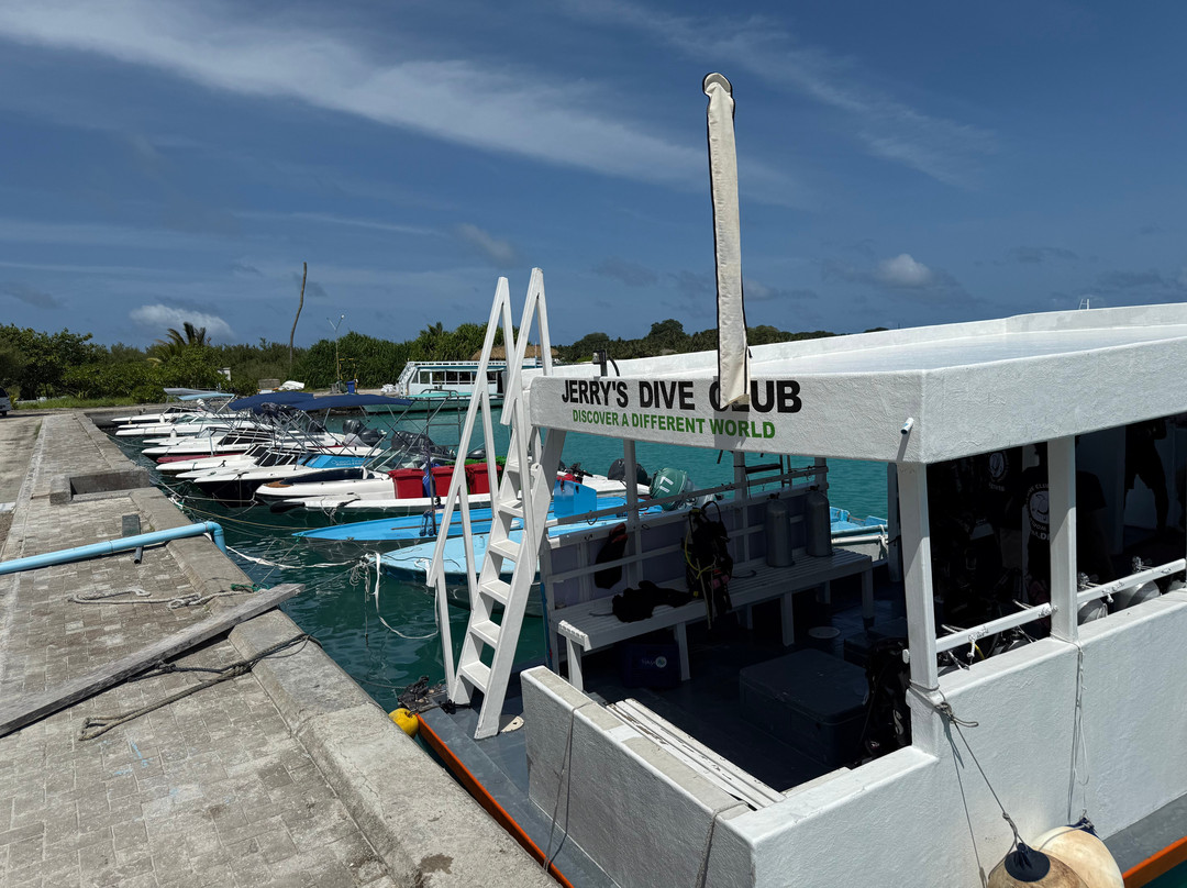Jerrys Dive Club Rasdhoo-拉斯胡必去景点