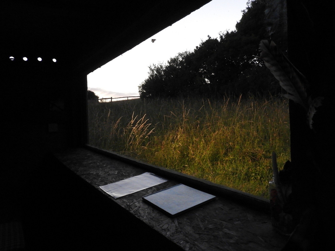 Badger Watch Dorset-Buckland Newton必去景点