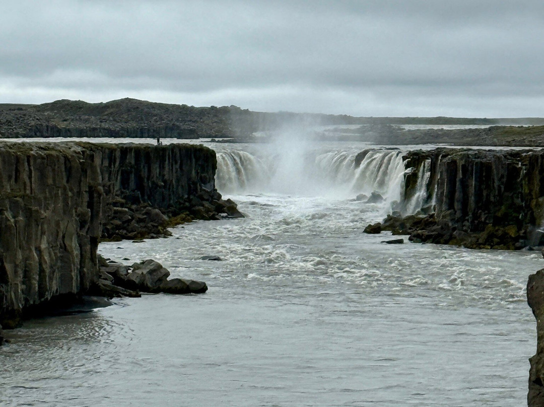 Selfoss Waterfall-Northeast Region必去景点