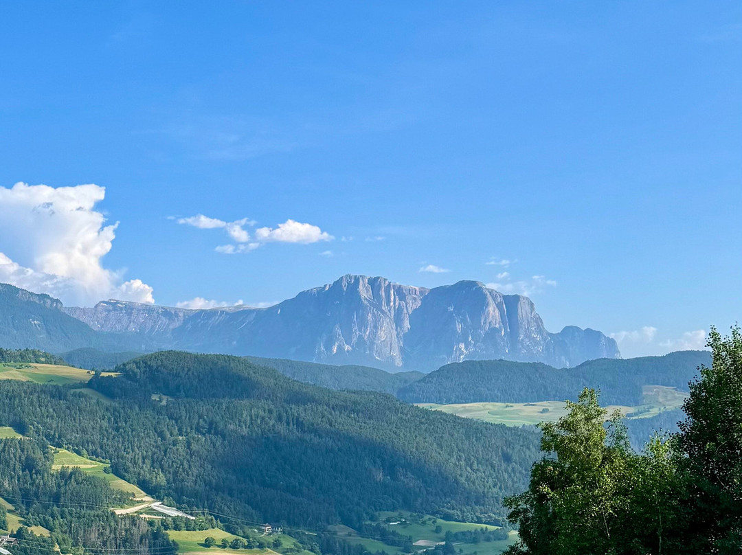 Panorama Hotel Flora主图